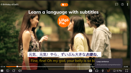 Learn a Language With Subtitles: A Comprehensive Guide for 2023
