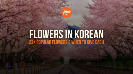 Flowers In Korean