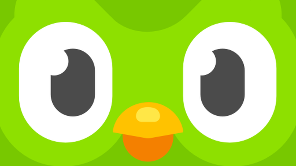 Mildly threatening Duolingo owl meme