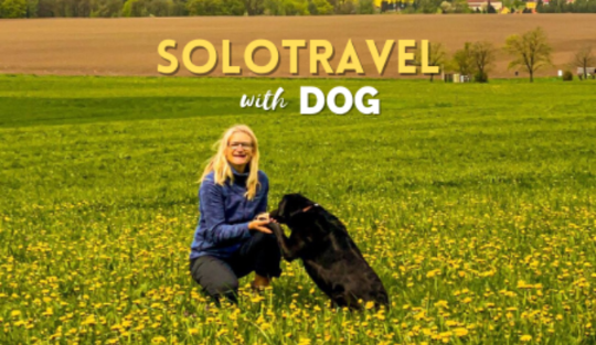 Изучайте немецкий с Solotravel с собакой