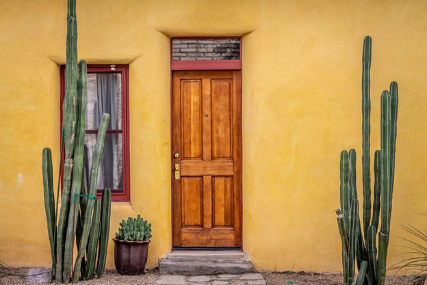 Photo of a traditional house entry with wooden door in Mexico with to cactuses on each side of the door