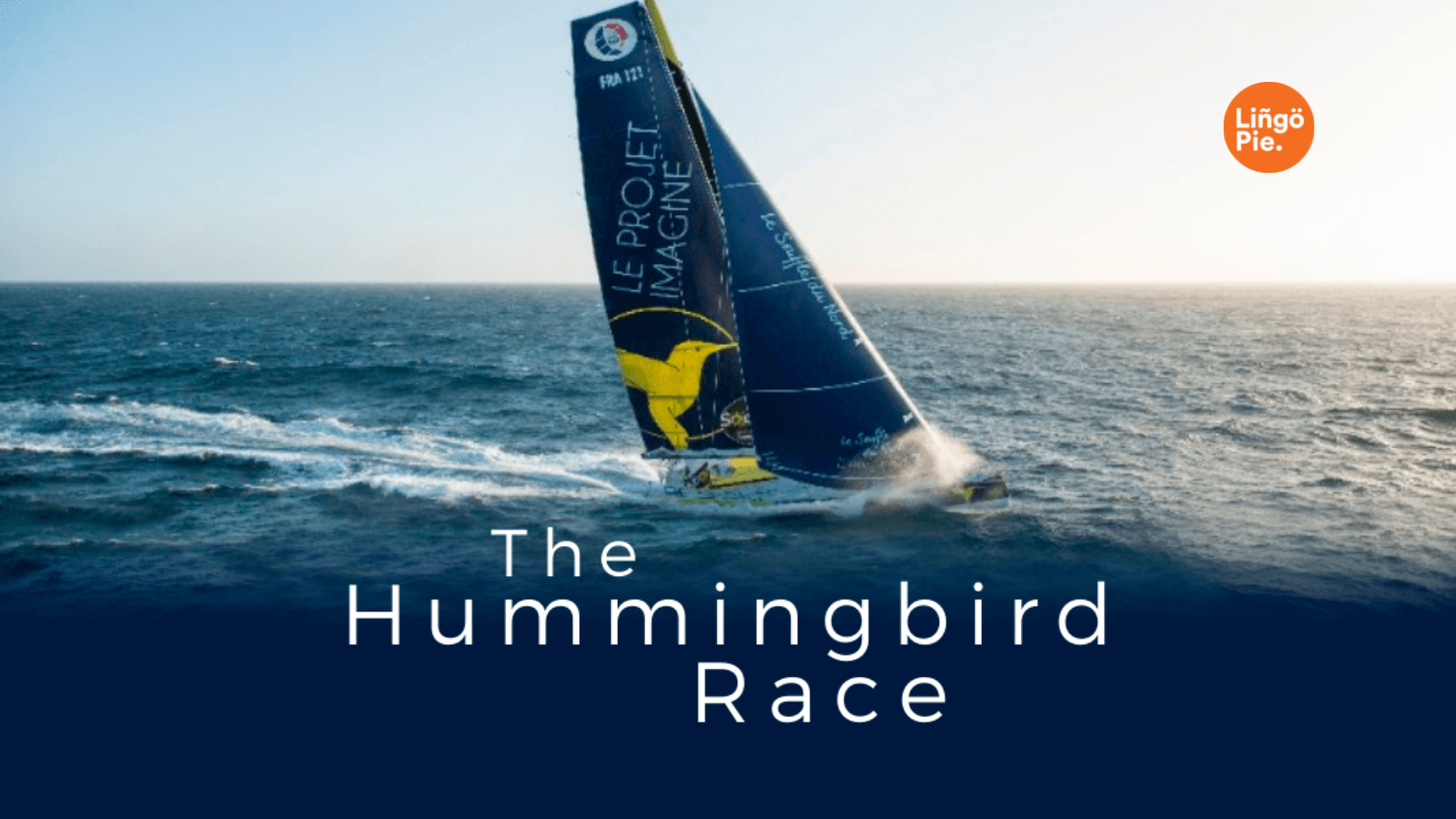 The Hummingbird Race on Lingopie