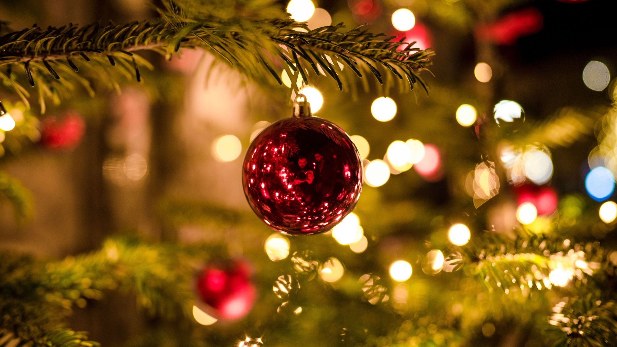 Merry Christmas in Spanish: All the Spanish Holiday Vocab You Need for a  “Feliz Navidad”