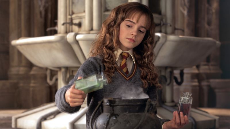 Hermione Granger-Fictional Characters Who Speak Another Language-Lingopie