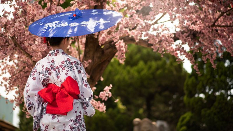 Japanese girl in kimono-Gion Matsuri Guide-Lingopie