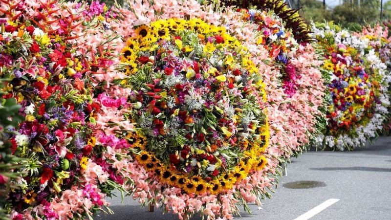 Feria de las Flores - Lingopie