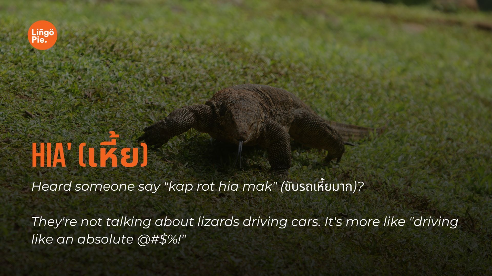 Monitor lizard - Swearing In Thai Culture