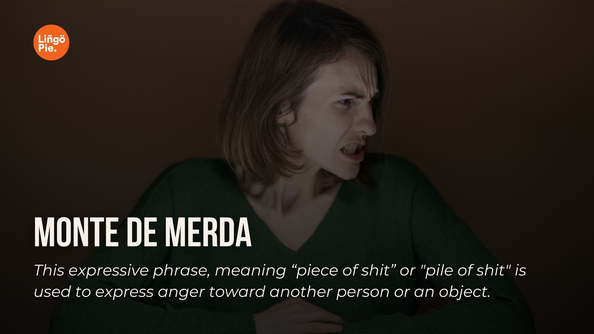 Monte de merda- Portuguese Insult & Curse Word