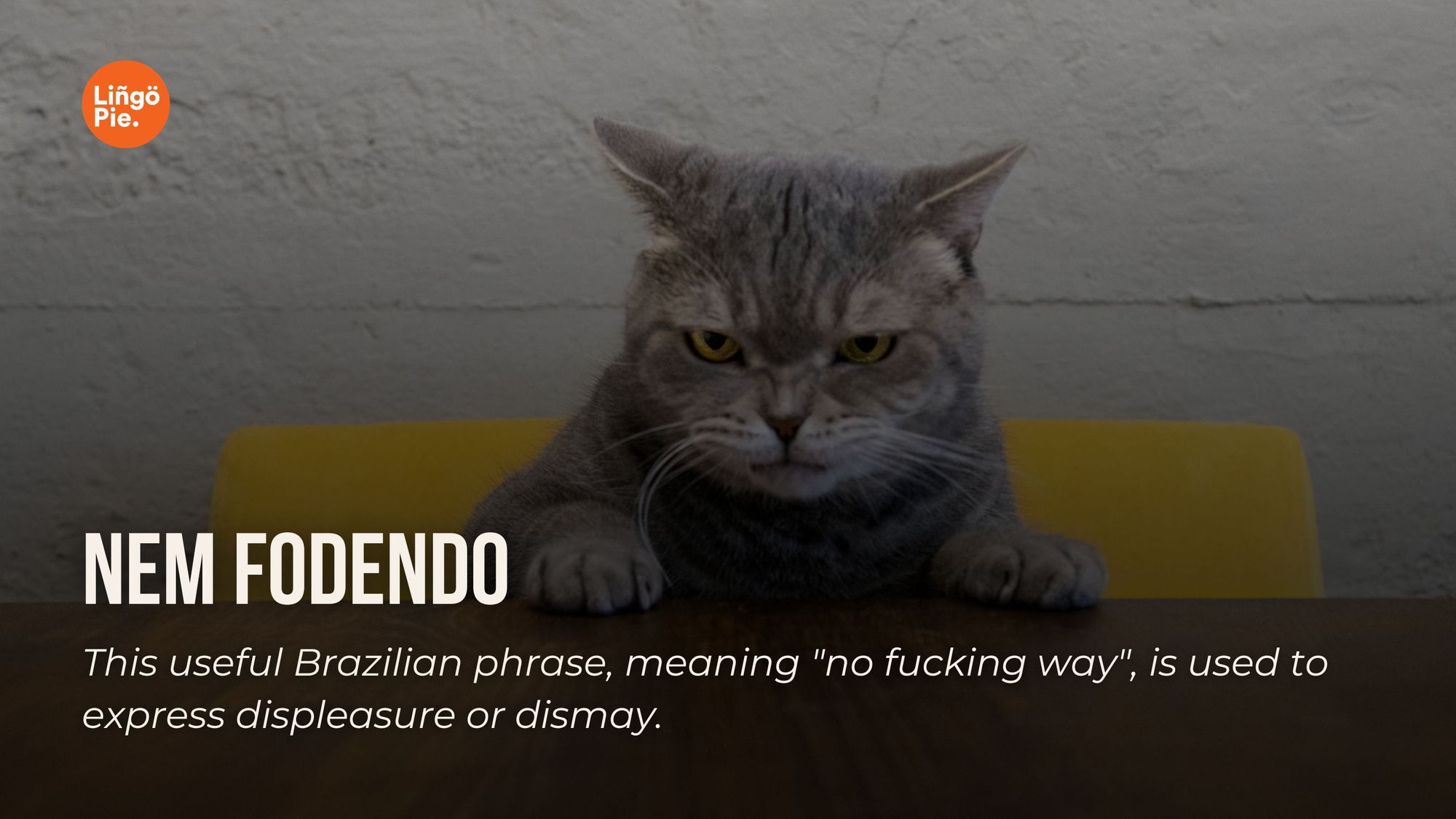 Nem fodendo - Portuguese Insult & Curse Word