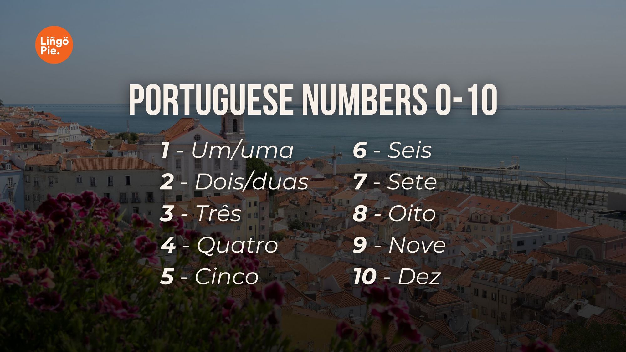 Portuguese Numbers 0-10