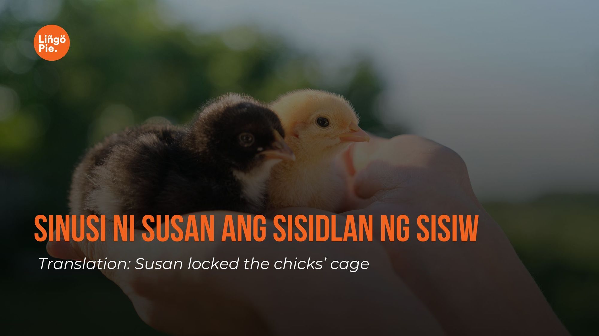Sinusi ni Susan ang sisidlan ng sisiw - Tagalog Tongue Twisters