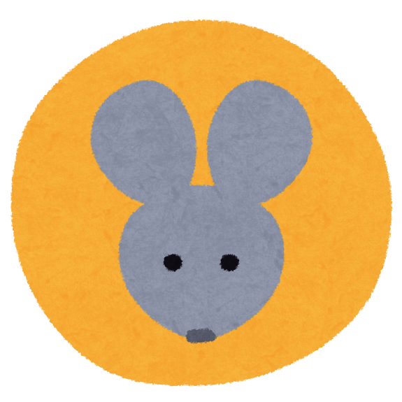 Rat