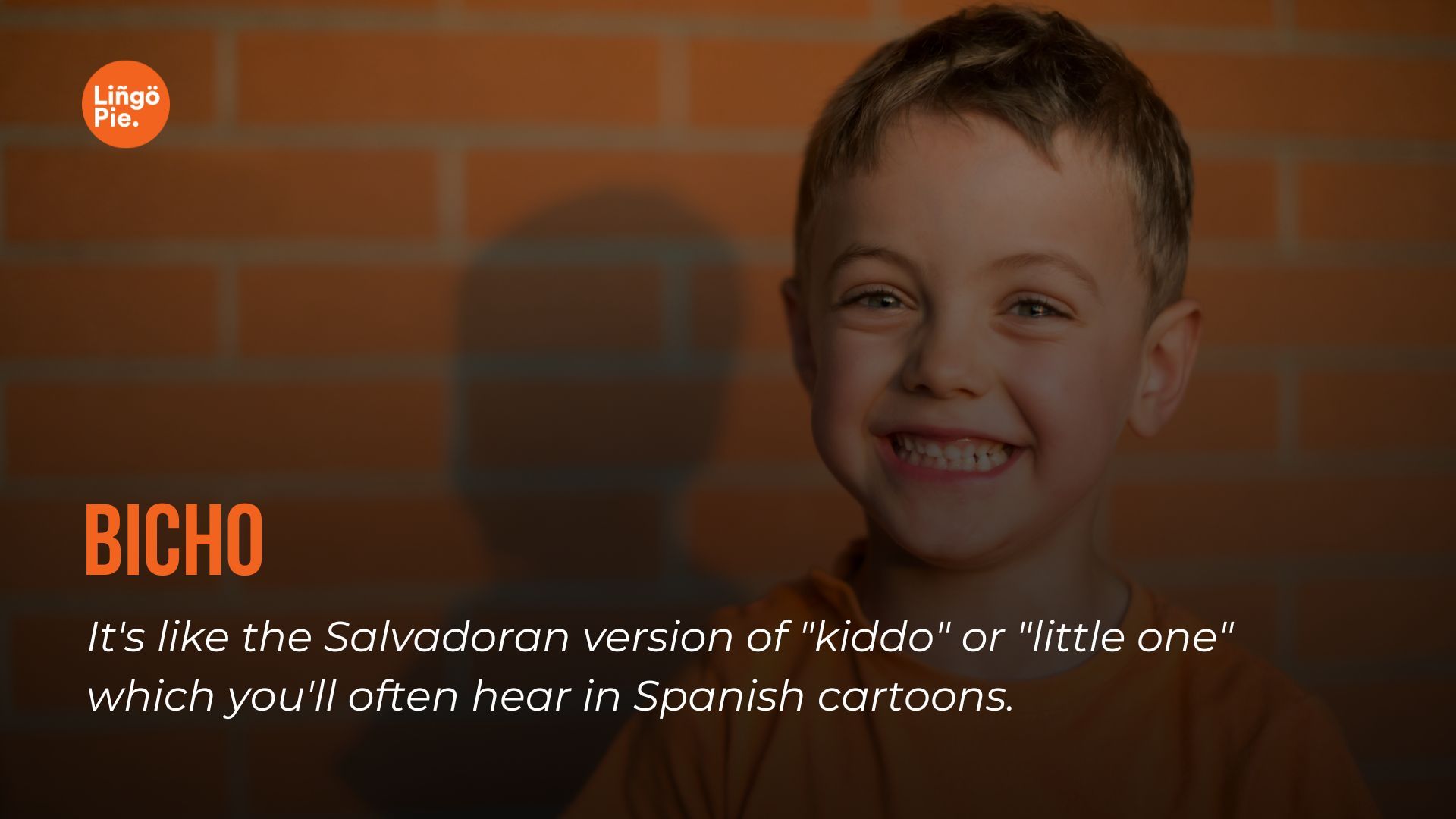 Bicho - Salvadoran Slang