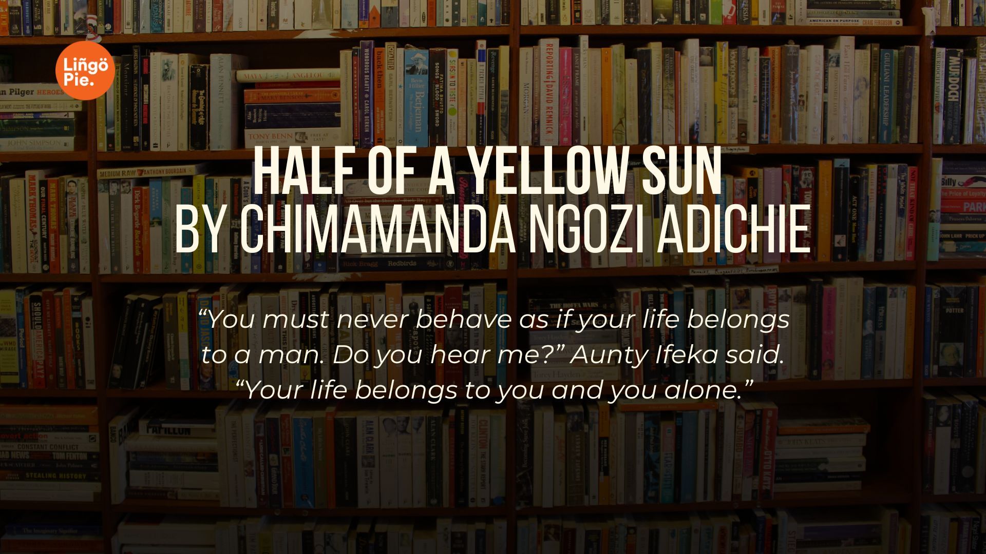 Half of a Yellow Sun by Chimamanda Ngozi Adichie - Lingopie