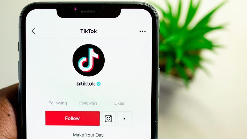 How To Learn A Language With Tiktok - Lingopie