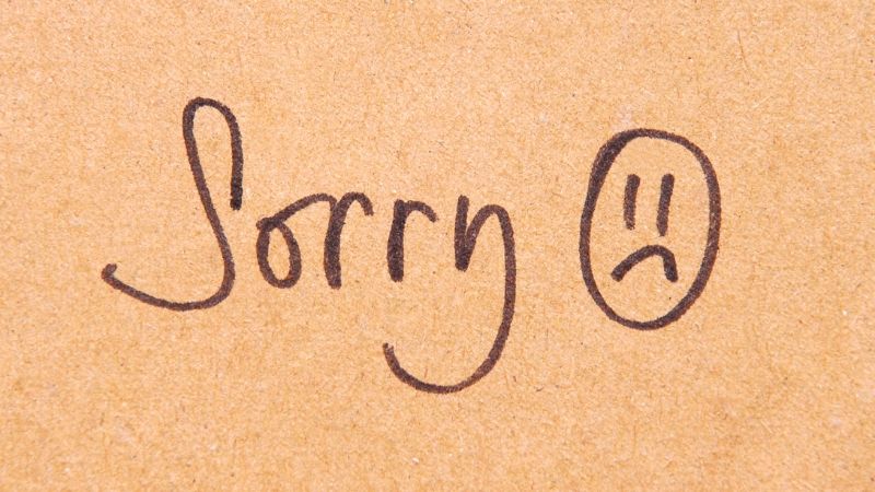 Sorry - How To Say Sorry In Korean - lingopie