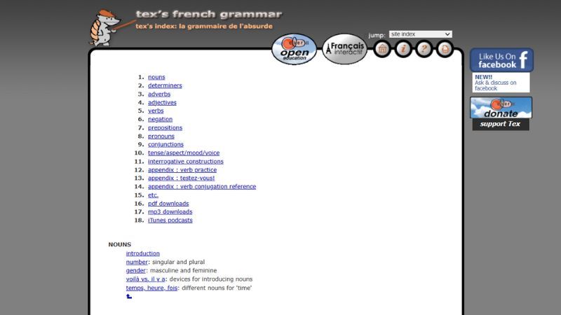 Tex’s French Grammar - French Learning Websites - Lingopie