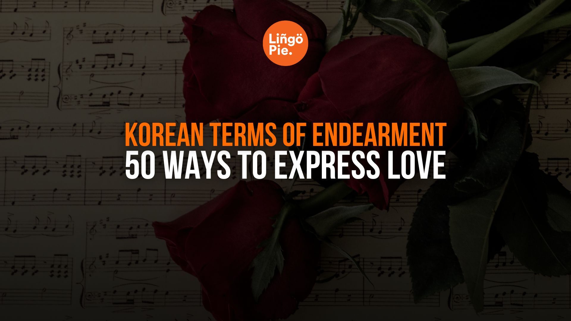 Korean Terms of Endearment: 50 Ways to Express Love in Korean