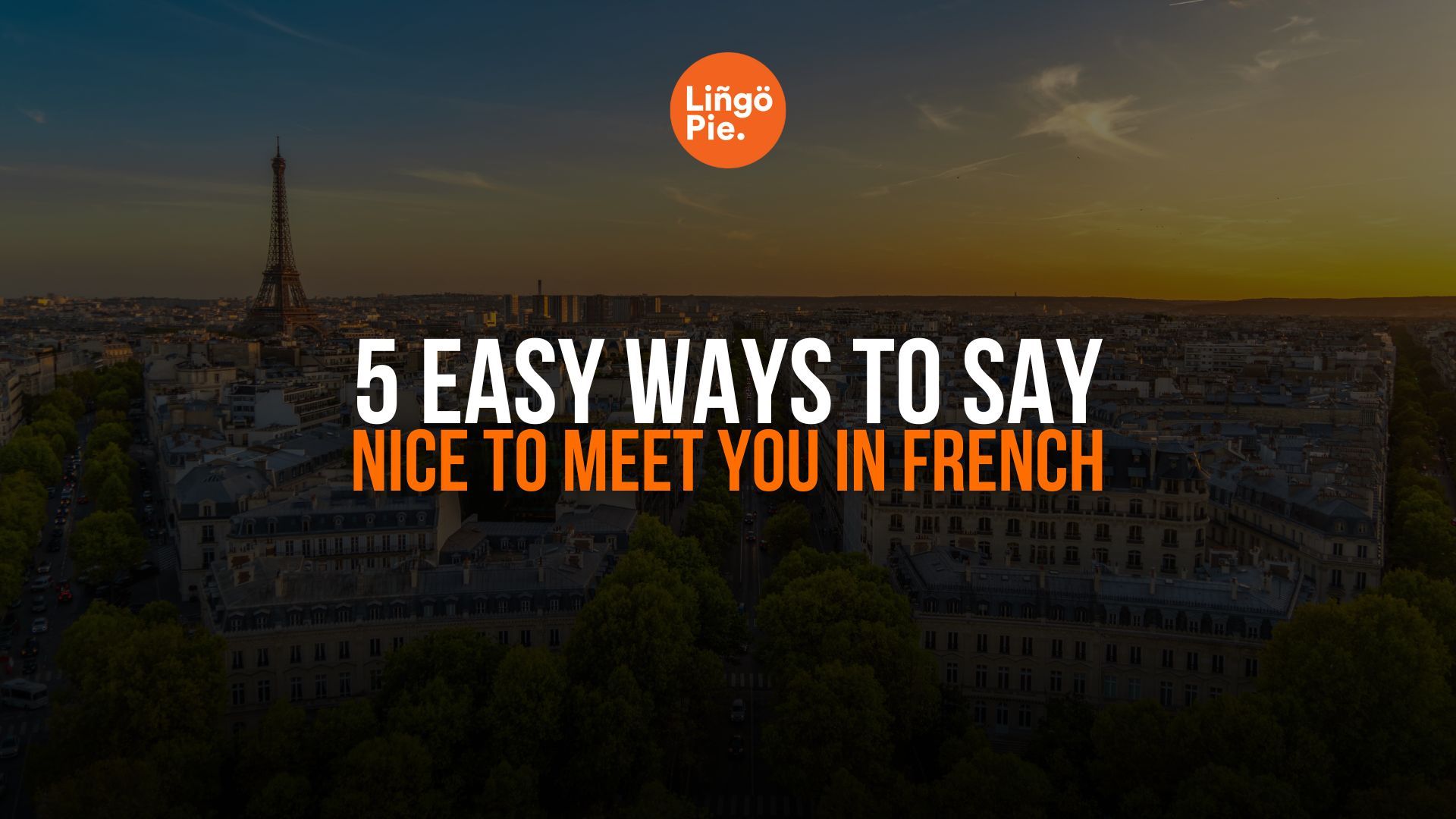 5 Easy Ways To Say Nice To Meet You In French