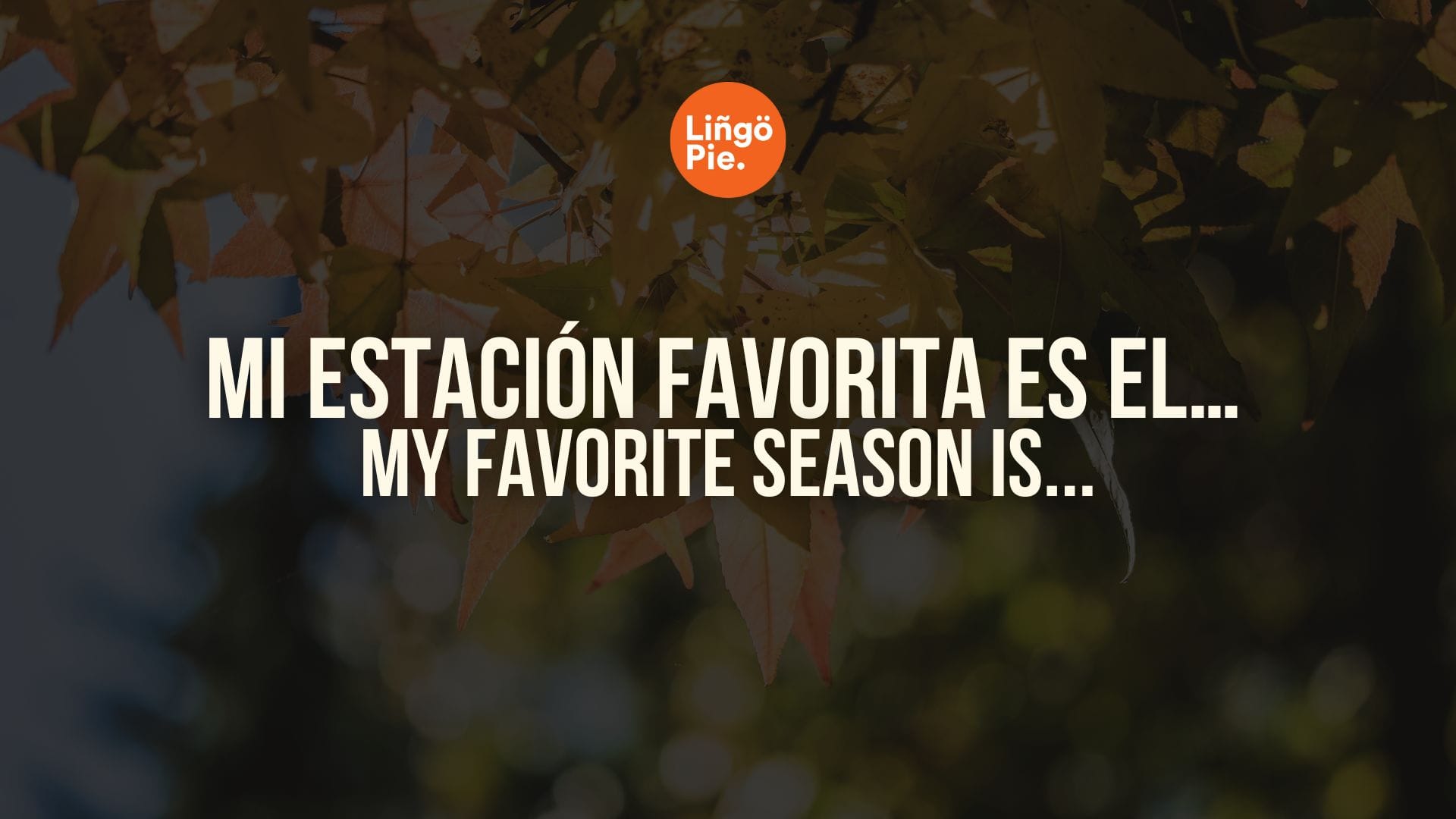 How To Talk About The Seasons In Spanish