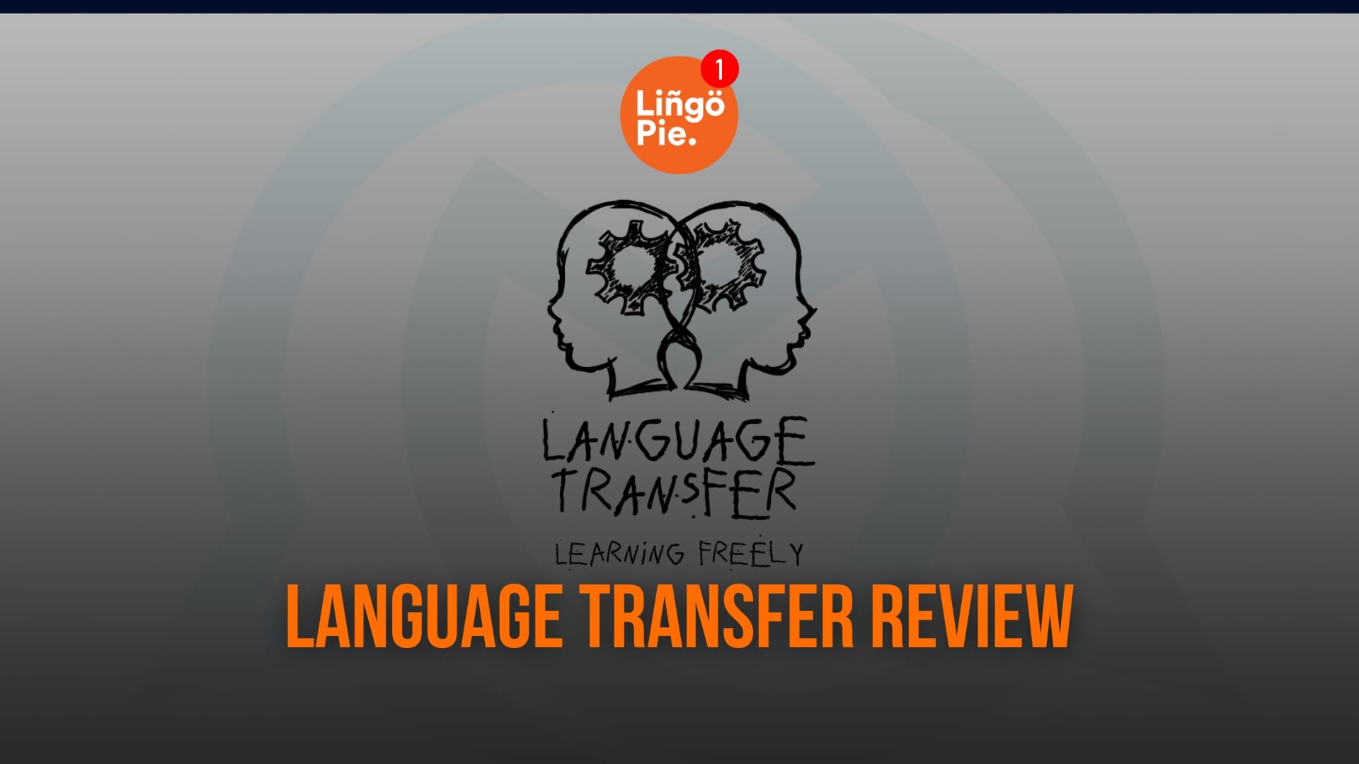 Language Transfer Review: Strong Foundation but Can’t Replace Real Immersion