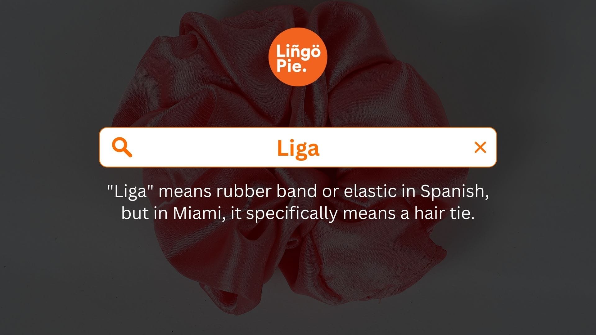 liga - Miami Slang 