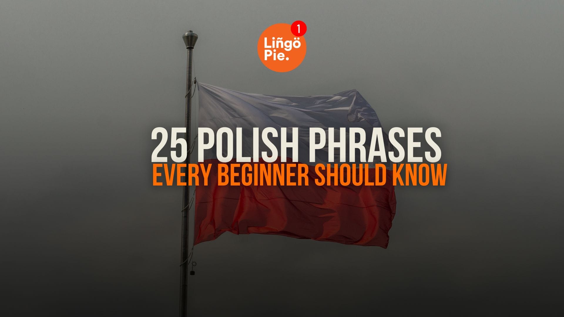 25 Polish Phrases Every Beginner Should Know