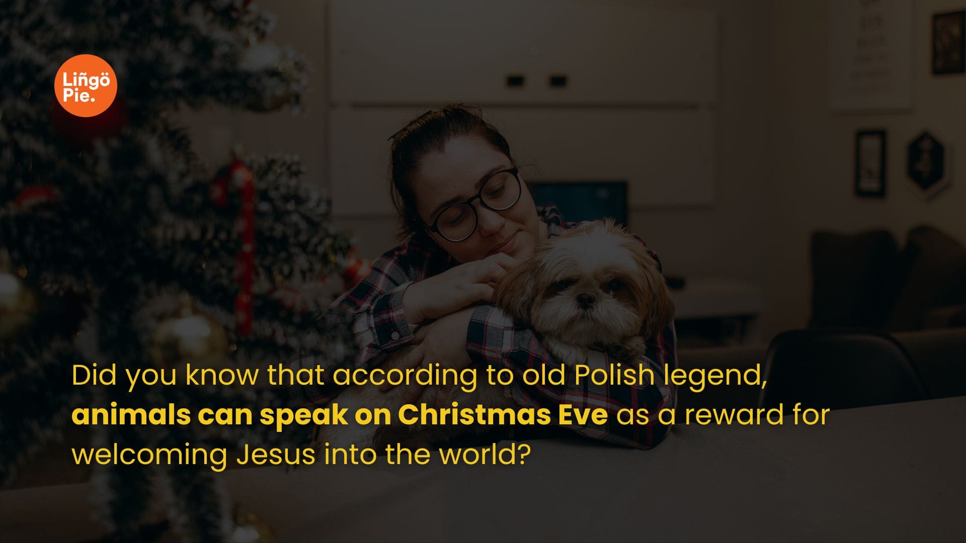 christmas in Polish