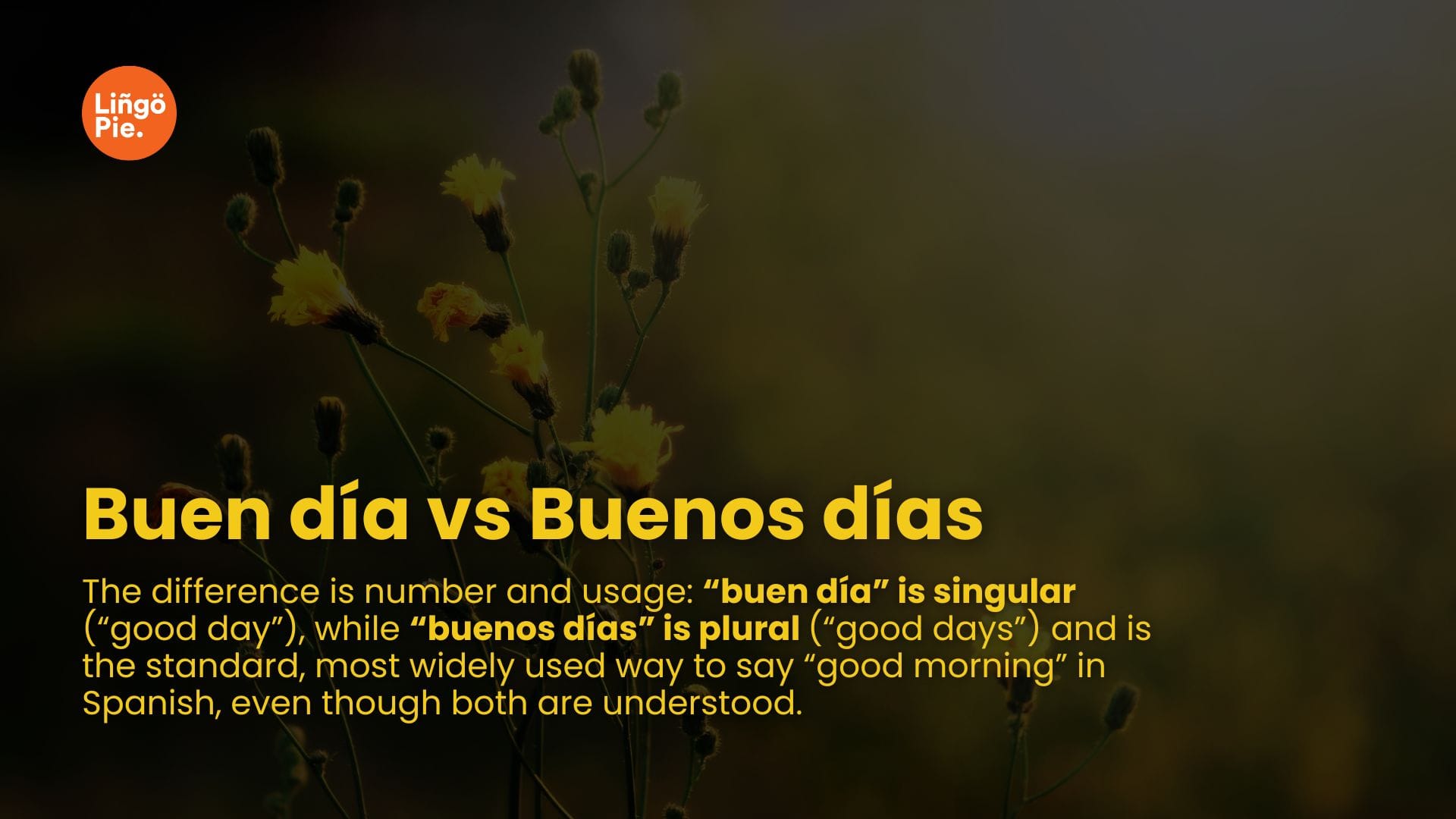 Buen día vs Buenos días