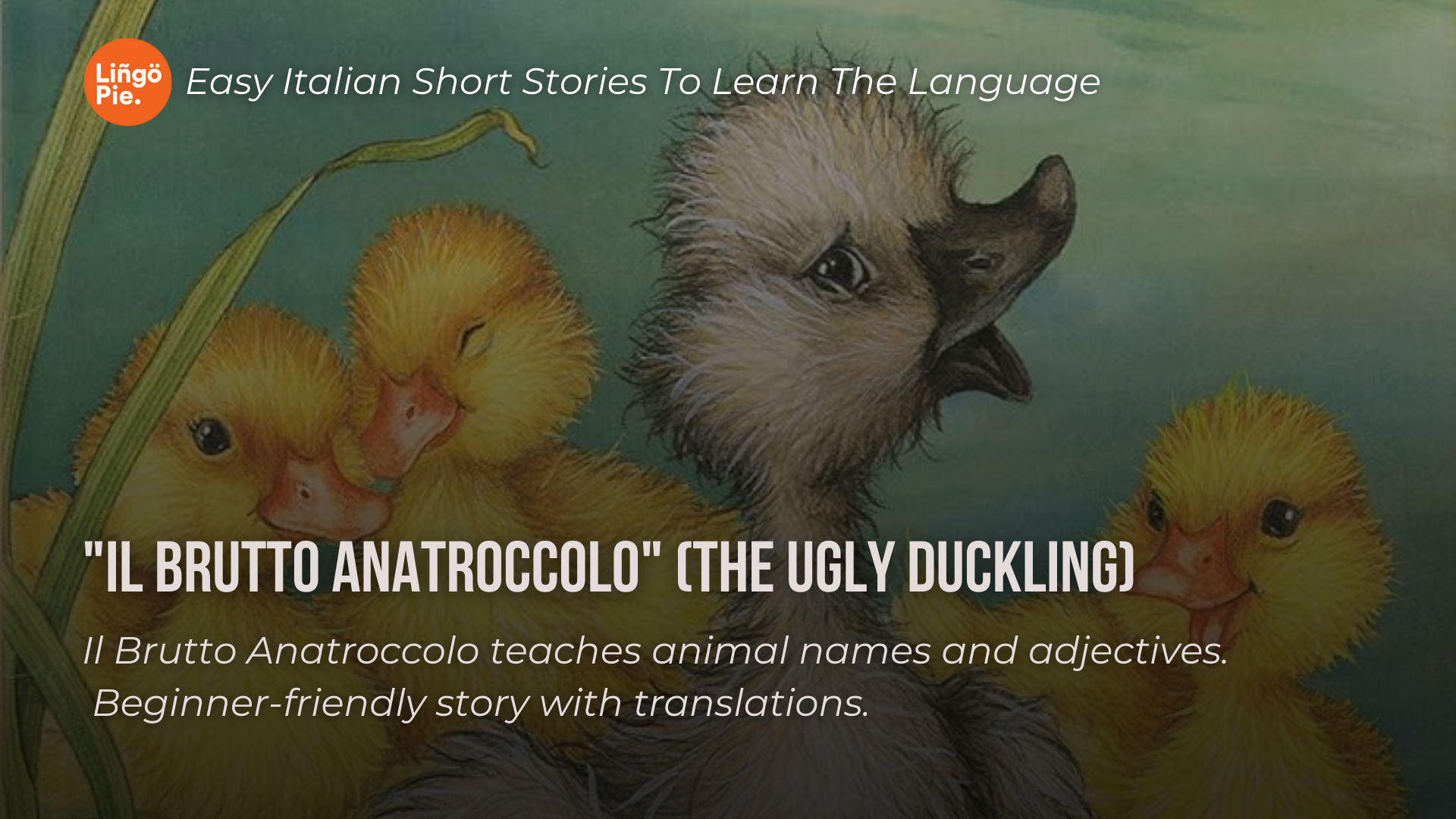 Il Brutto Anatroccolo