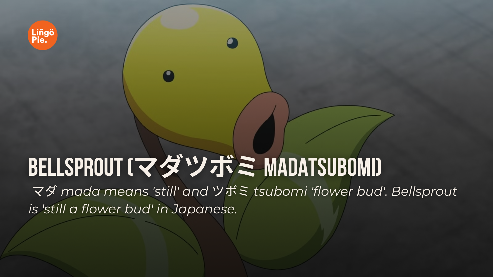 Pokémon names and their meanings: Madatsubomi is still a flower bud.