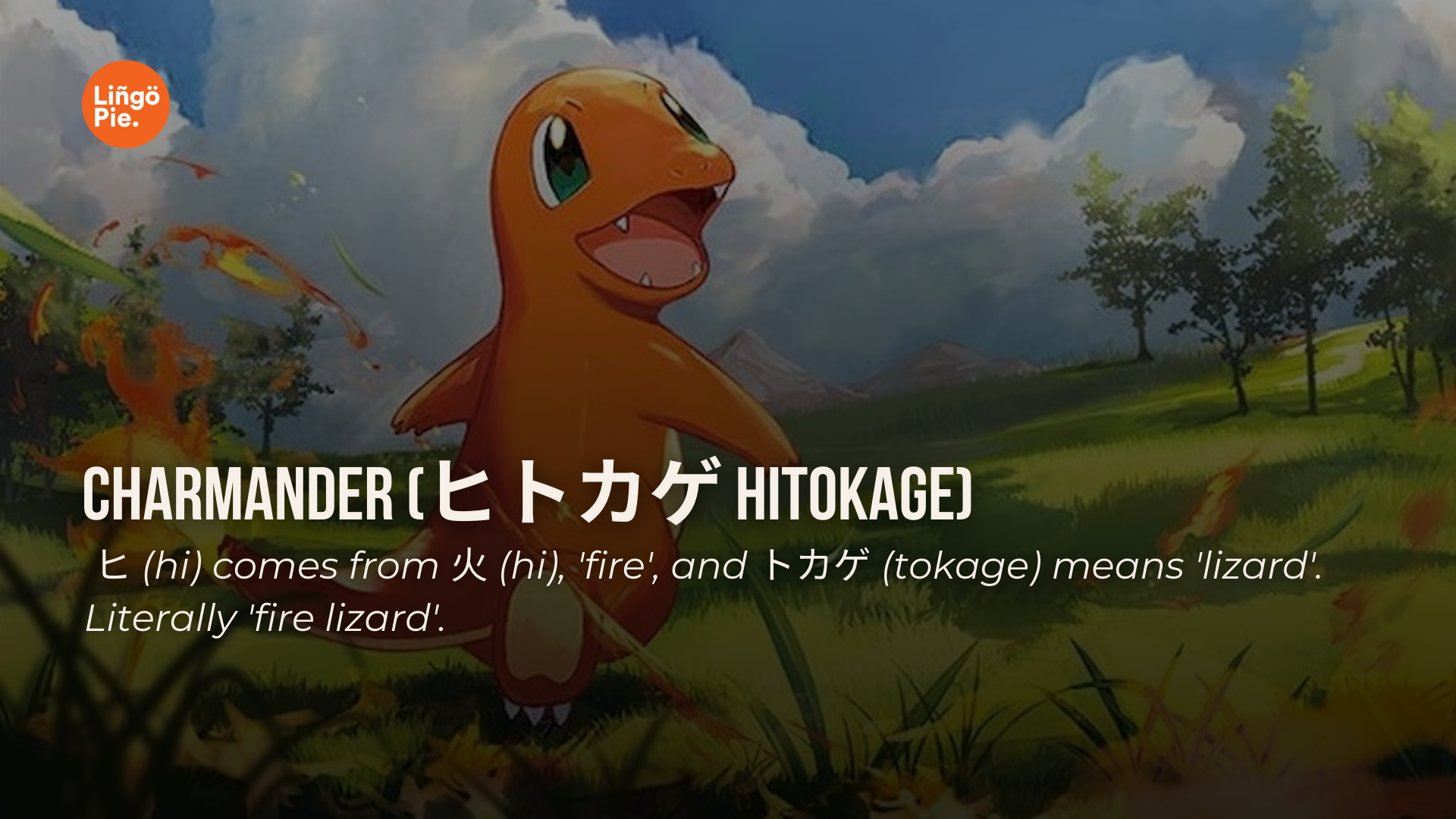 Pokémon names and their meanings: Charmander Hitokage, the 'fire lizard'.