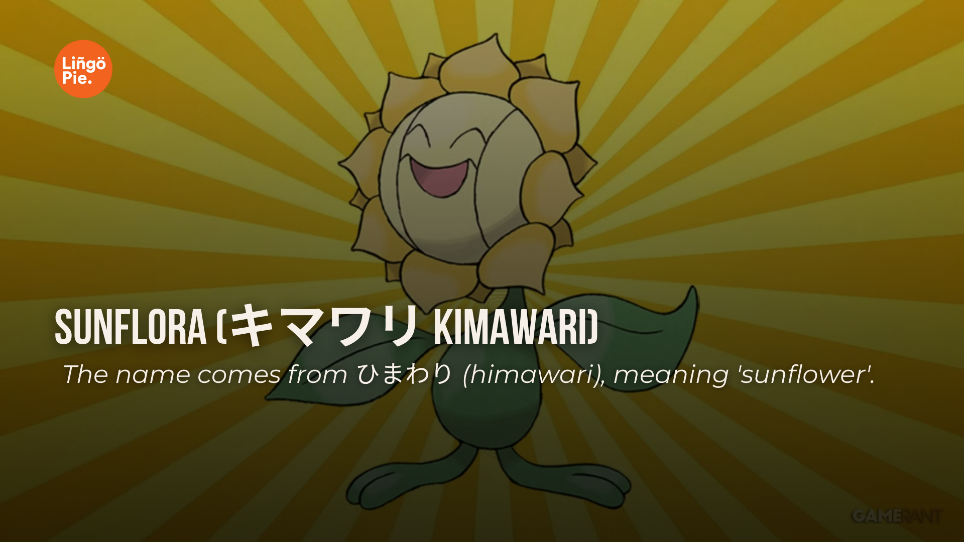 Pokémon names and their meanings: Kimawari, the 'sunflower'.