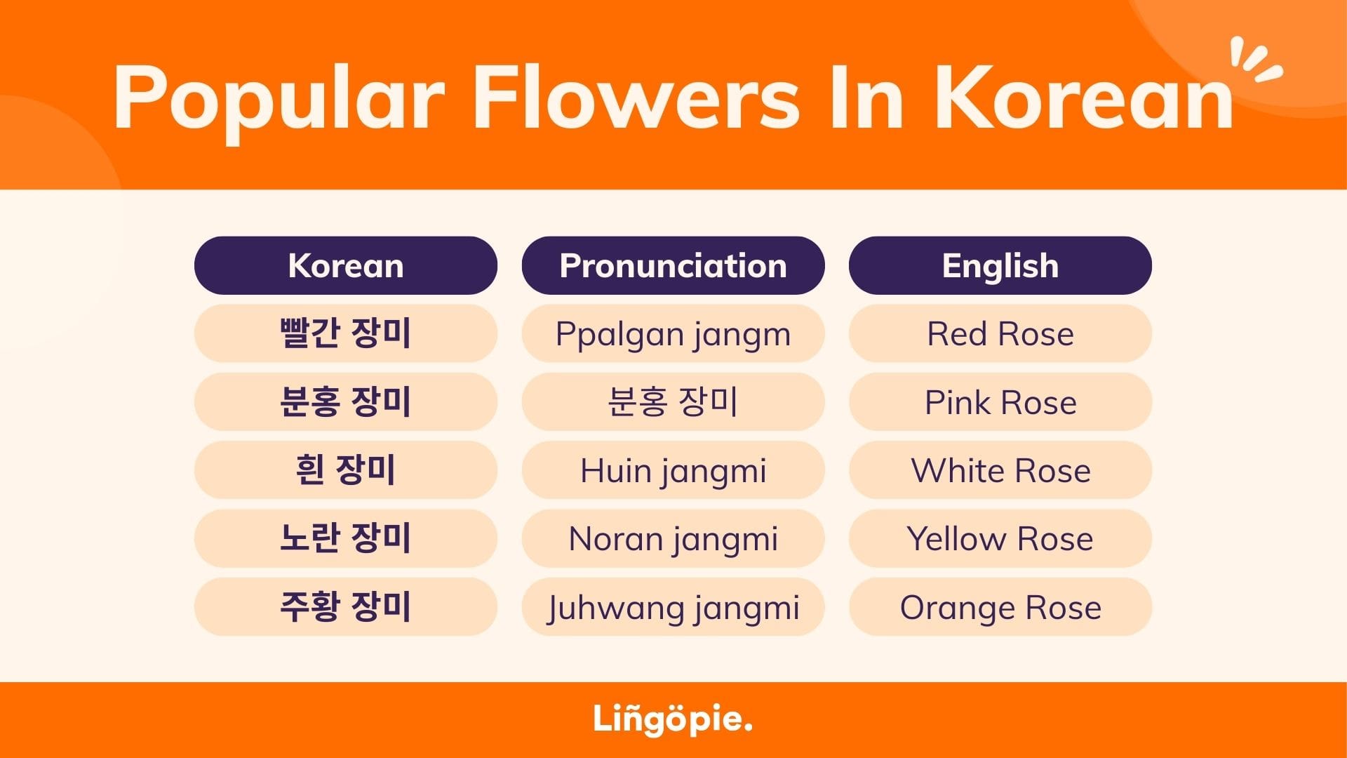 Popular Flowers In Korean: Rose