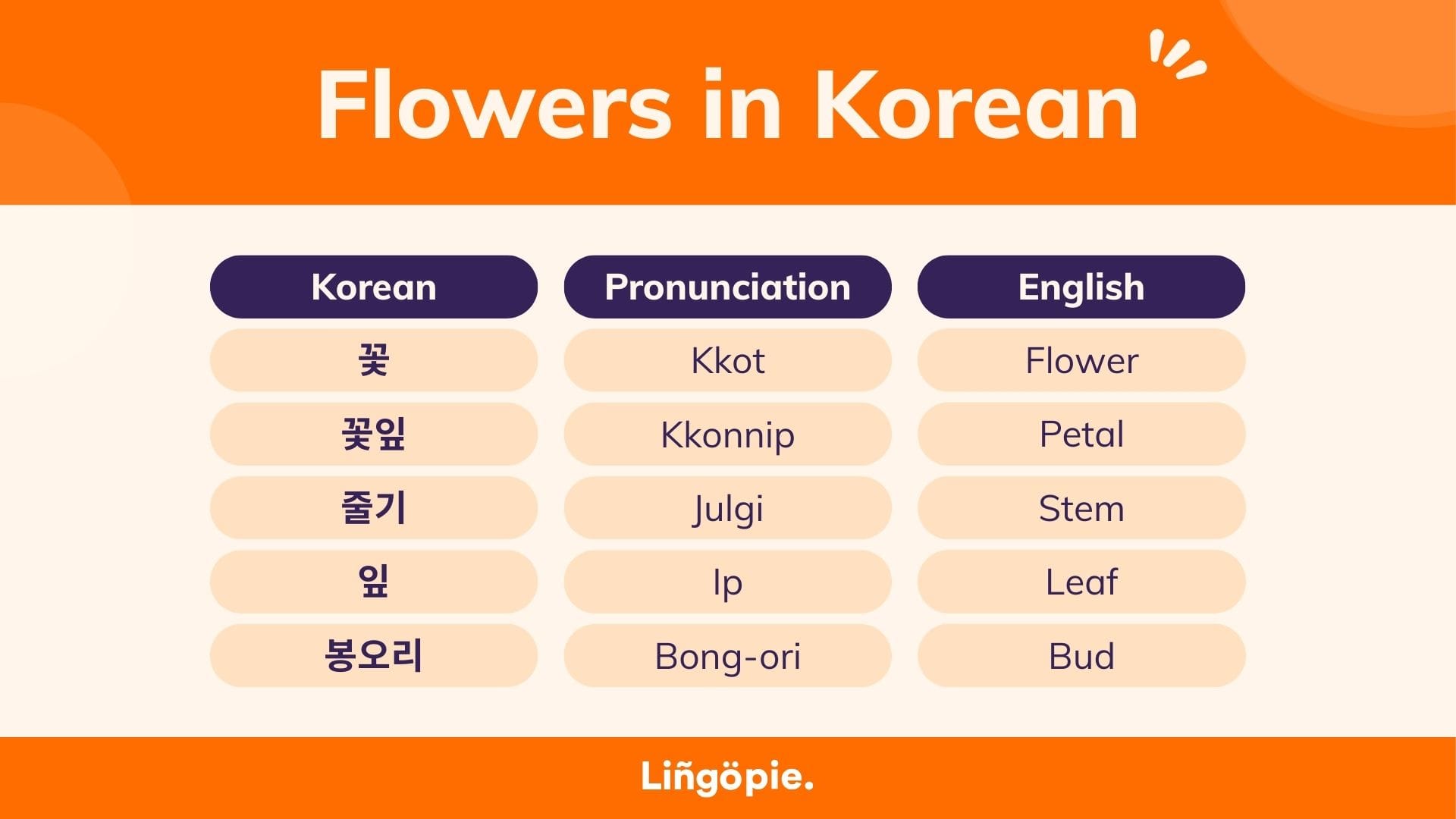 Vocabulary Related To Flowers In Korean