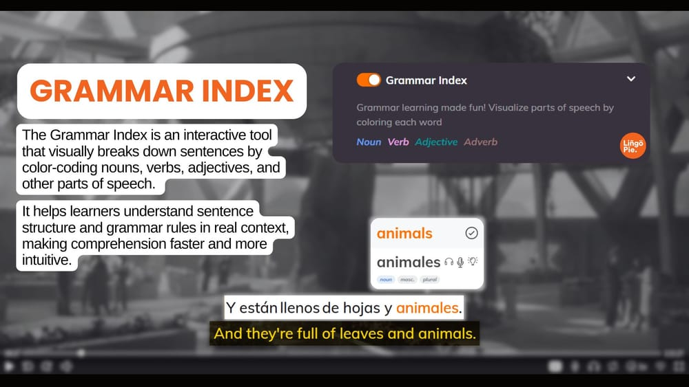 Lingopie Grammar Feature