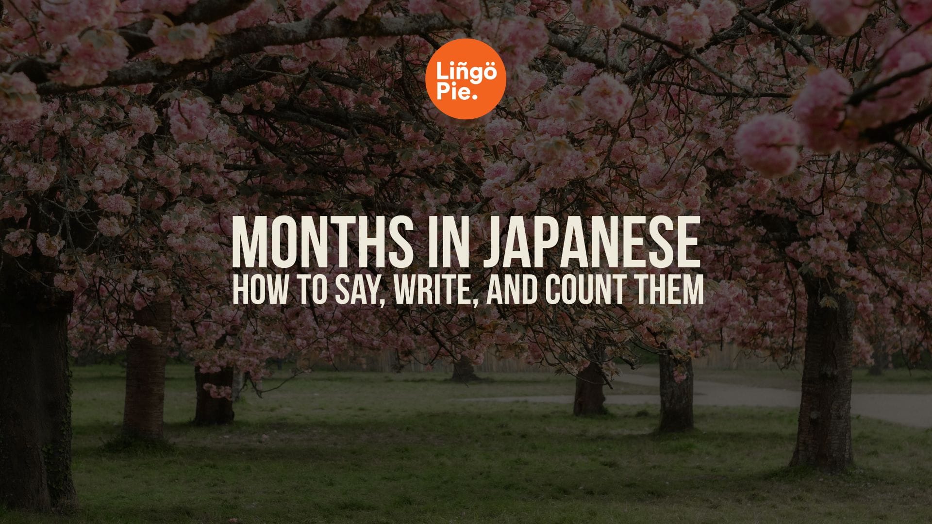 Months In Japanese: How to Say, Write, and Count Them (With Charts)