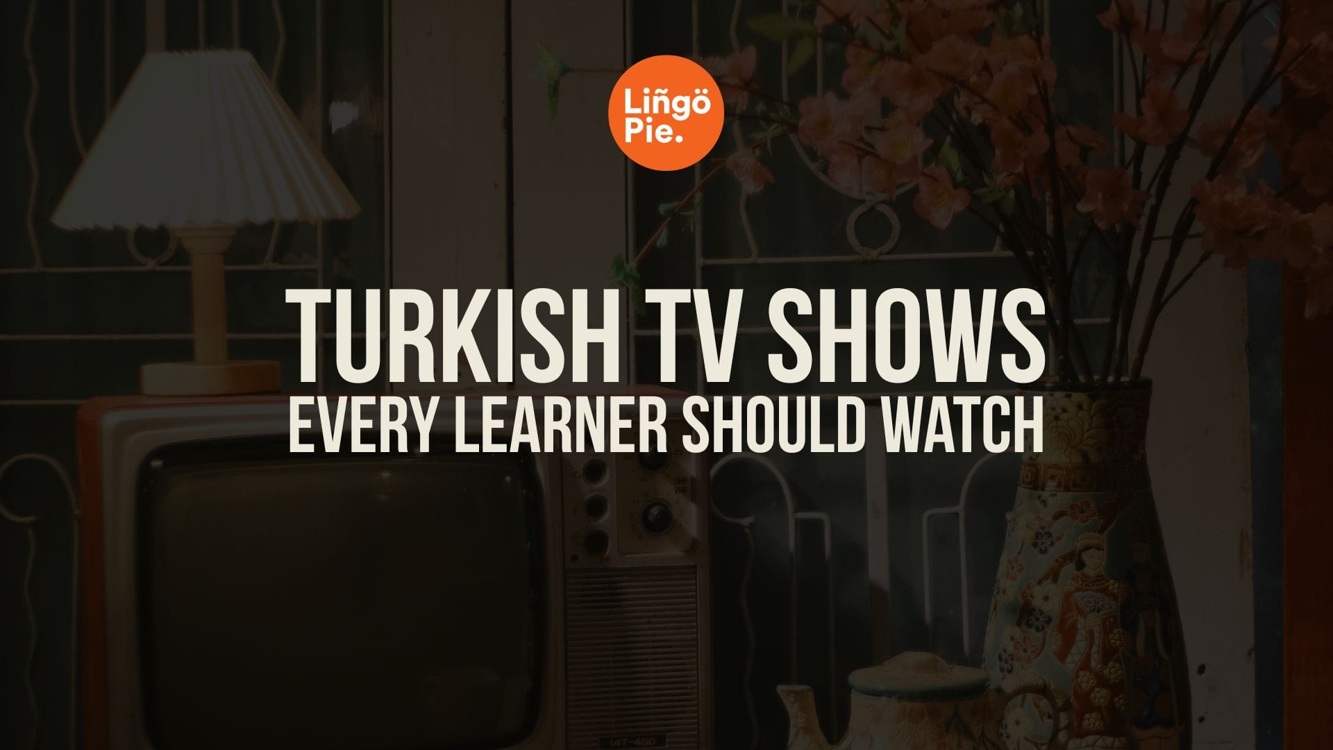 9 Best Turkish TV Shows For Learning Turkish (And How To Use Them)