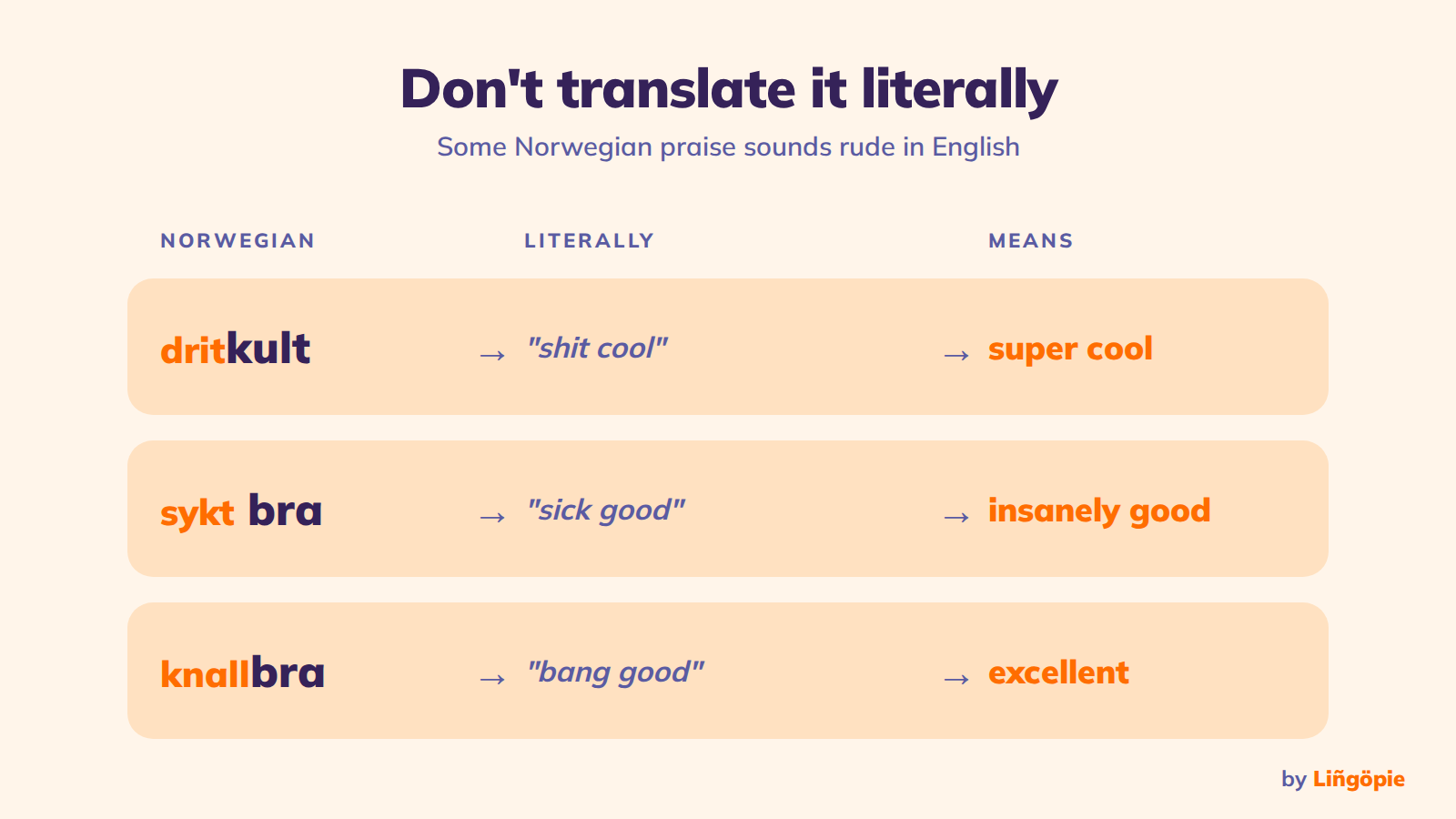 Norwegian Slang: 45+ Words and Phrases Locals Actually Use