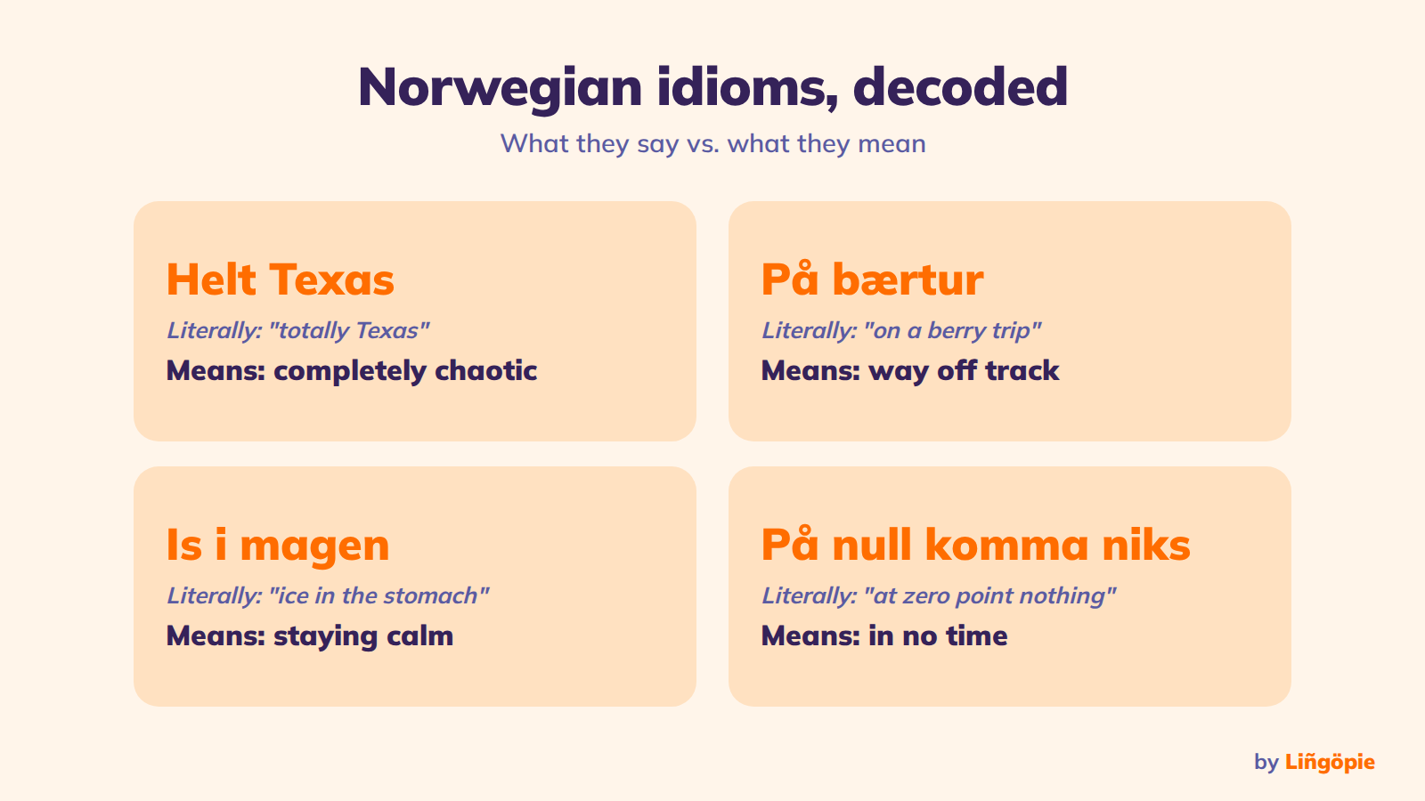 Norwegian Slang: 45+ Words and Phrases Locals Actually Use