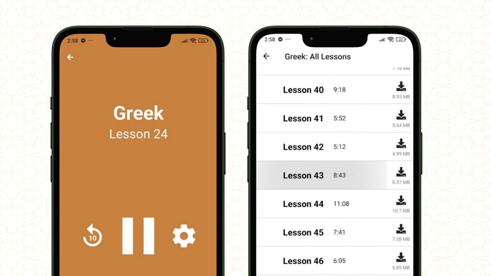 Language Transfer Review: Strong Foundation but Can’t Replace Real ...