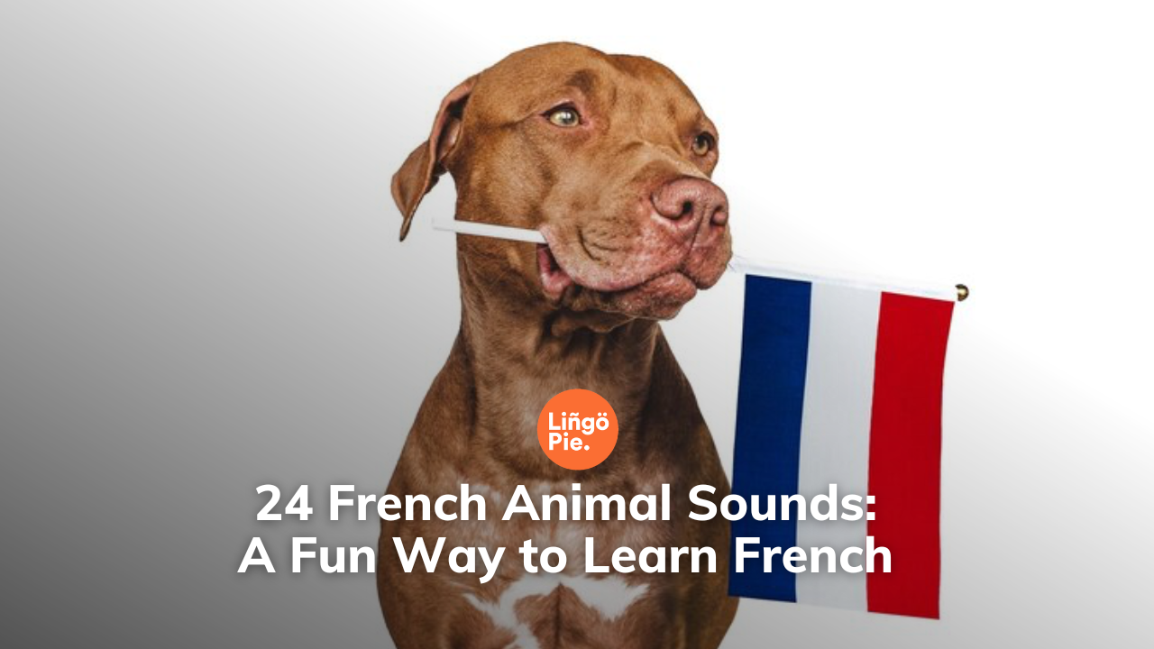 French Animal Sounds: A Fun Way to Learn French