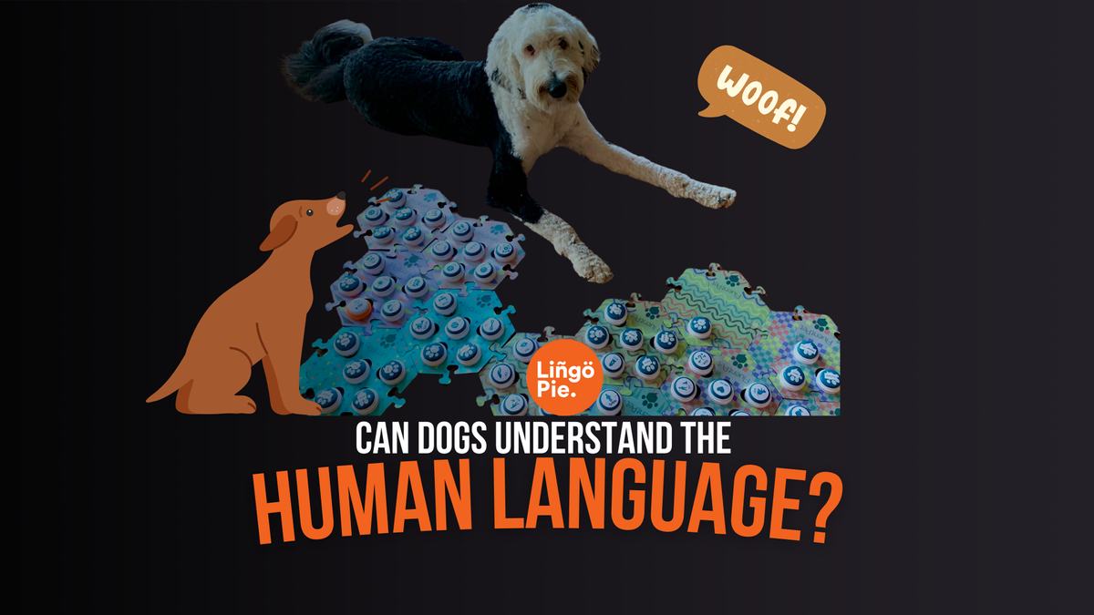 Can Dogs Understand The Human Language?