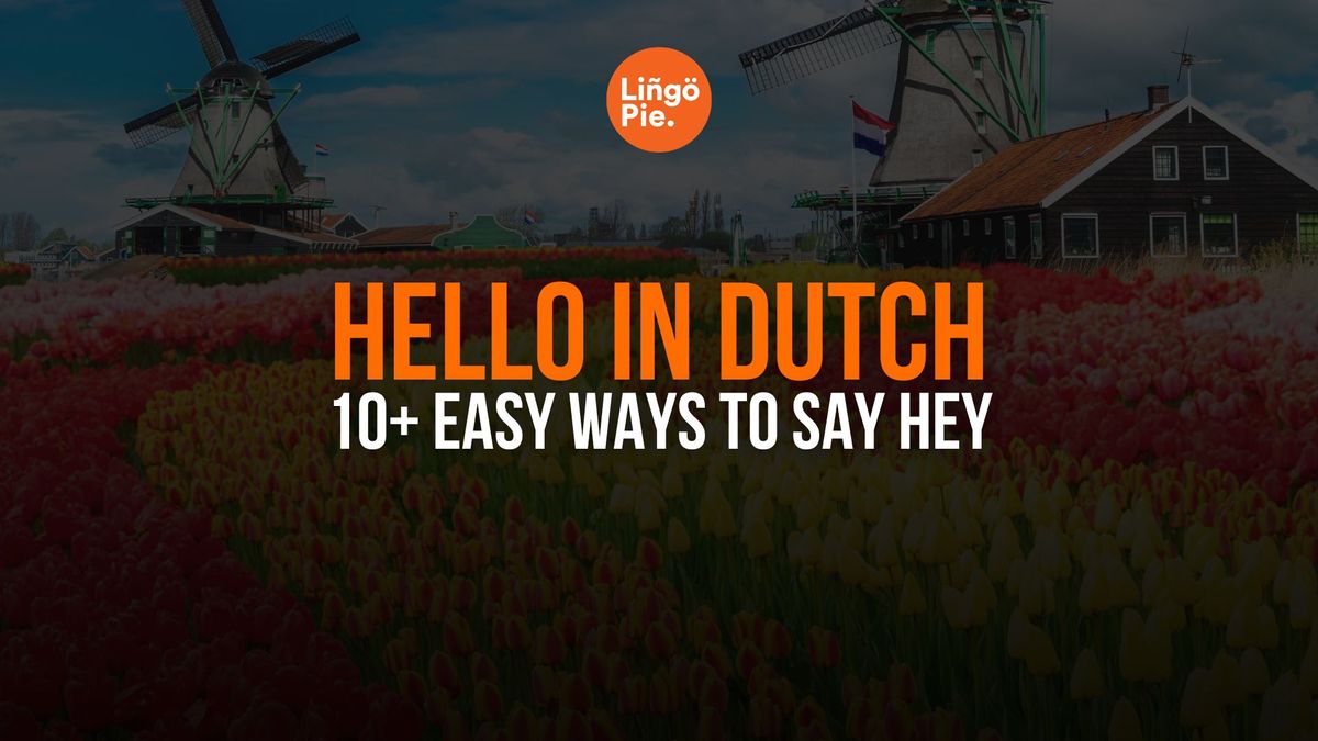 How To Say Hello In Dutch In 10+ Easy Ways