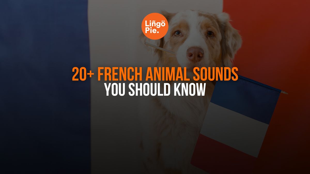 20+ French Animal Sounds You Should Know