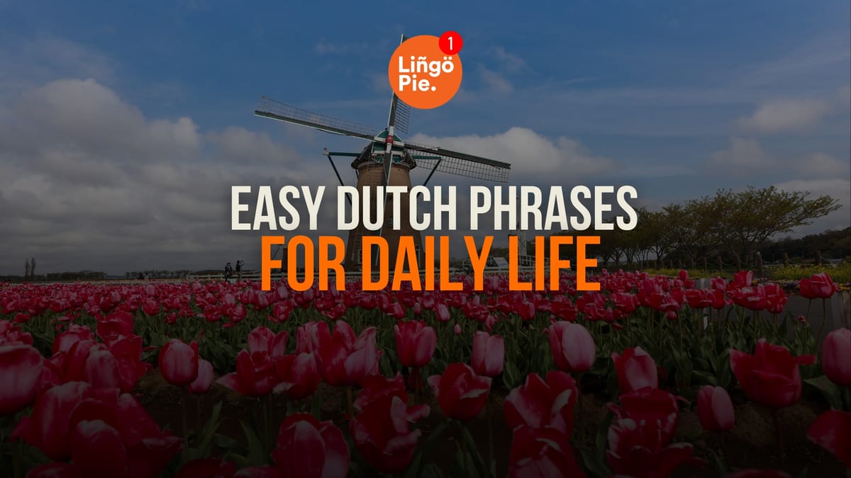 40+ Easy Dutch Phrases For Daily Life