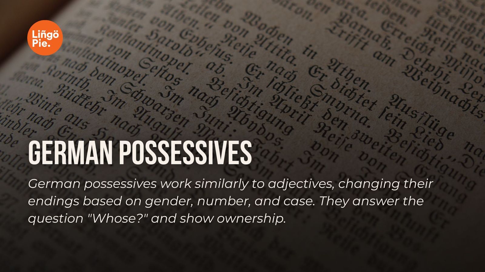 German Possessive Pronouns Vs. Possessive Adjectives