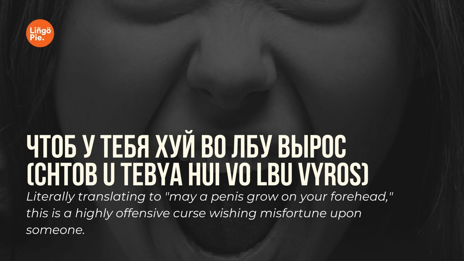 Cuss Words In Russian Language lingopie.com