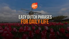 40+ Easy Dutch Phrases For Daily Life