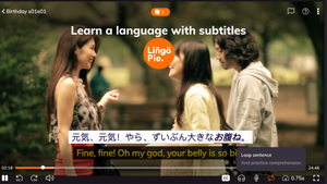 Learn a Language With Subtitles: A Comprehensive Guide for 2023